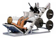Mega Squat and Leg Press